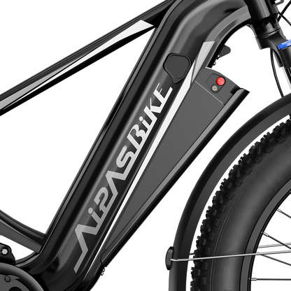 Aipas M2 Xterrain Ebike Aipas-M2-black Basket